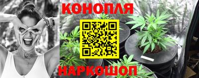 apvp Краснознаменск