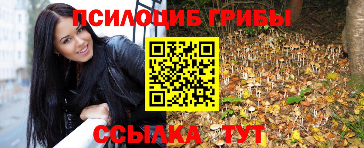 Псилоцибиновые грибы Magic Shrooms Кемерово