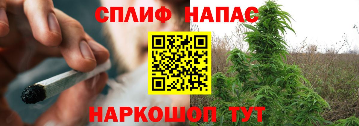 Бошки марихуана SATIVA & INDICA  Бошки Шишки гибрид  Канабис гибрид  Кемерово  Вход с VPN 